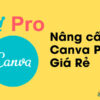 Nâng cấp Canva Pro giá rẻ